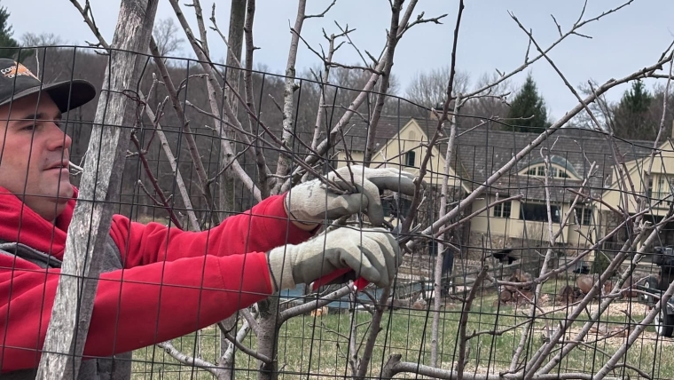 Pruning and Trimming Gallery Image 8
