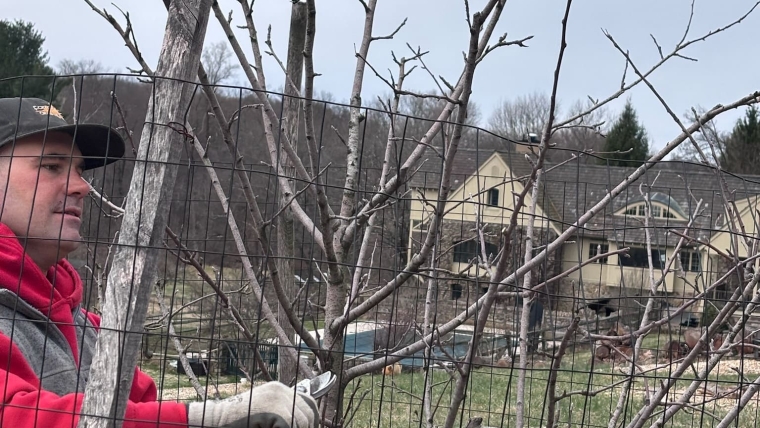 Pruning and Trimming Gallery Image 9
