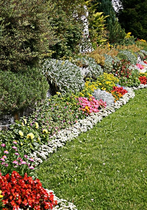 Planting Gallery Image 1