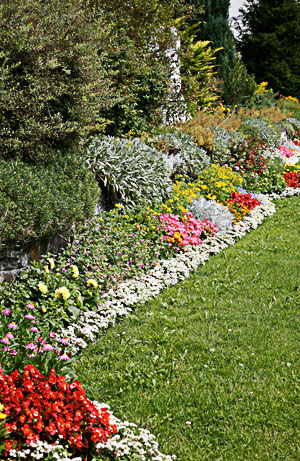 Planting Gallery Image 1