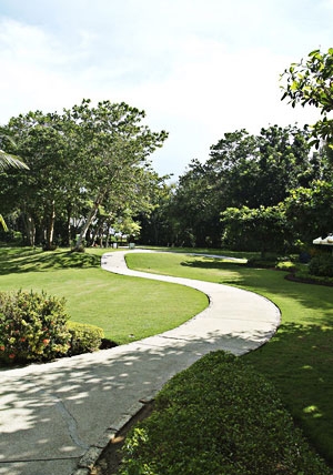 Planting Gallery Image 2