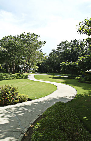 Planting Gallery Image 2